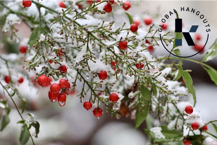 Winter Global Hangout