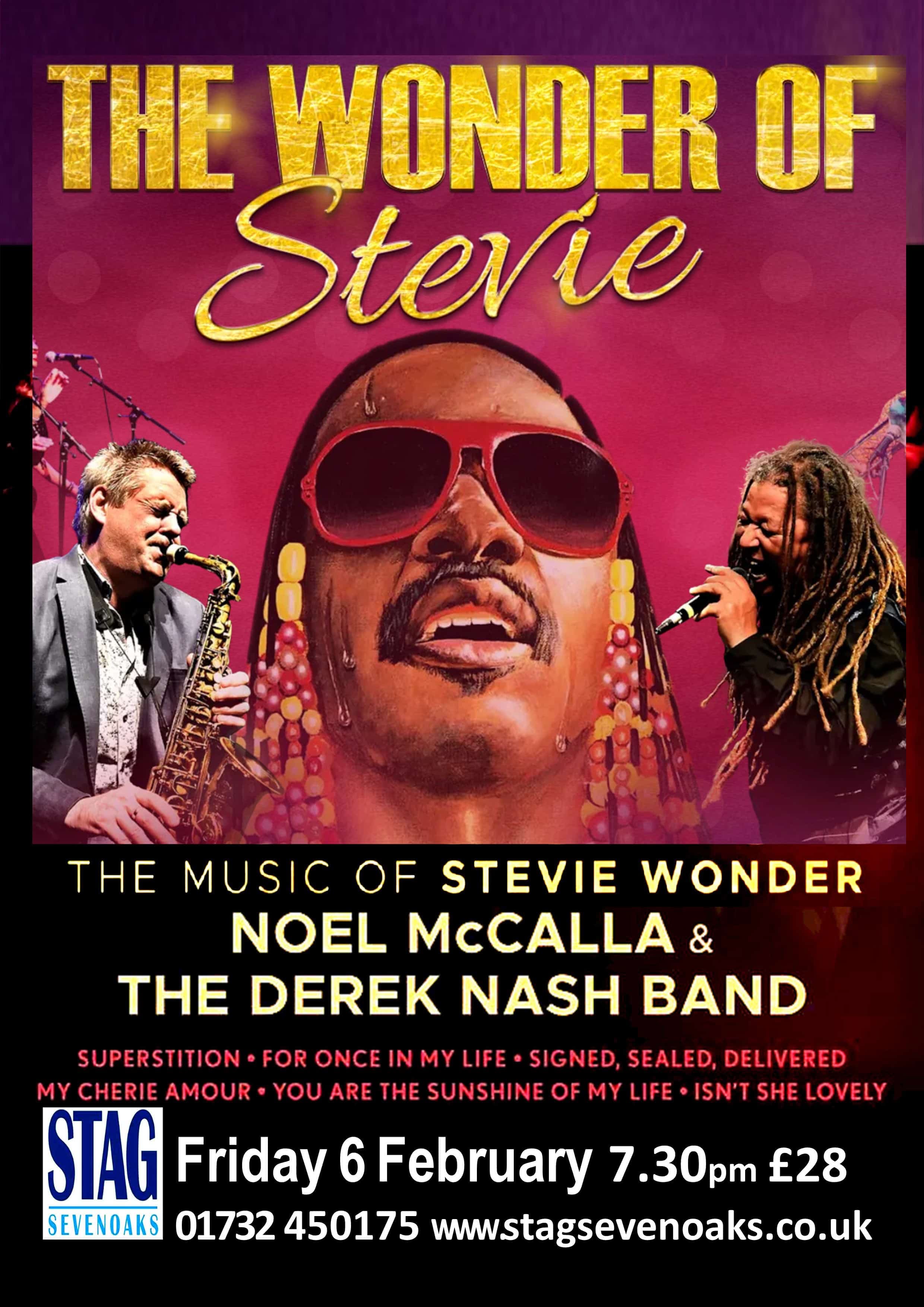 The Wonder of Stevie