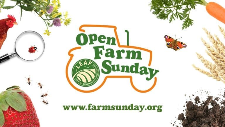Castle Farm's Open Farm Sunday