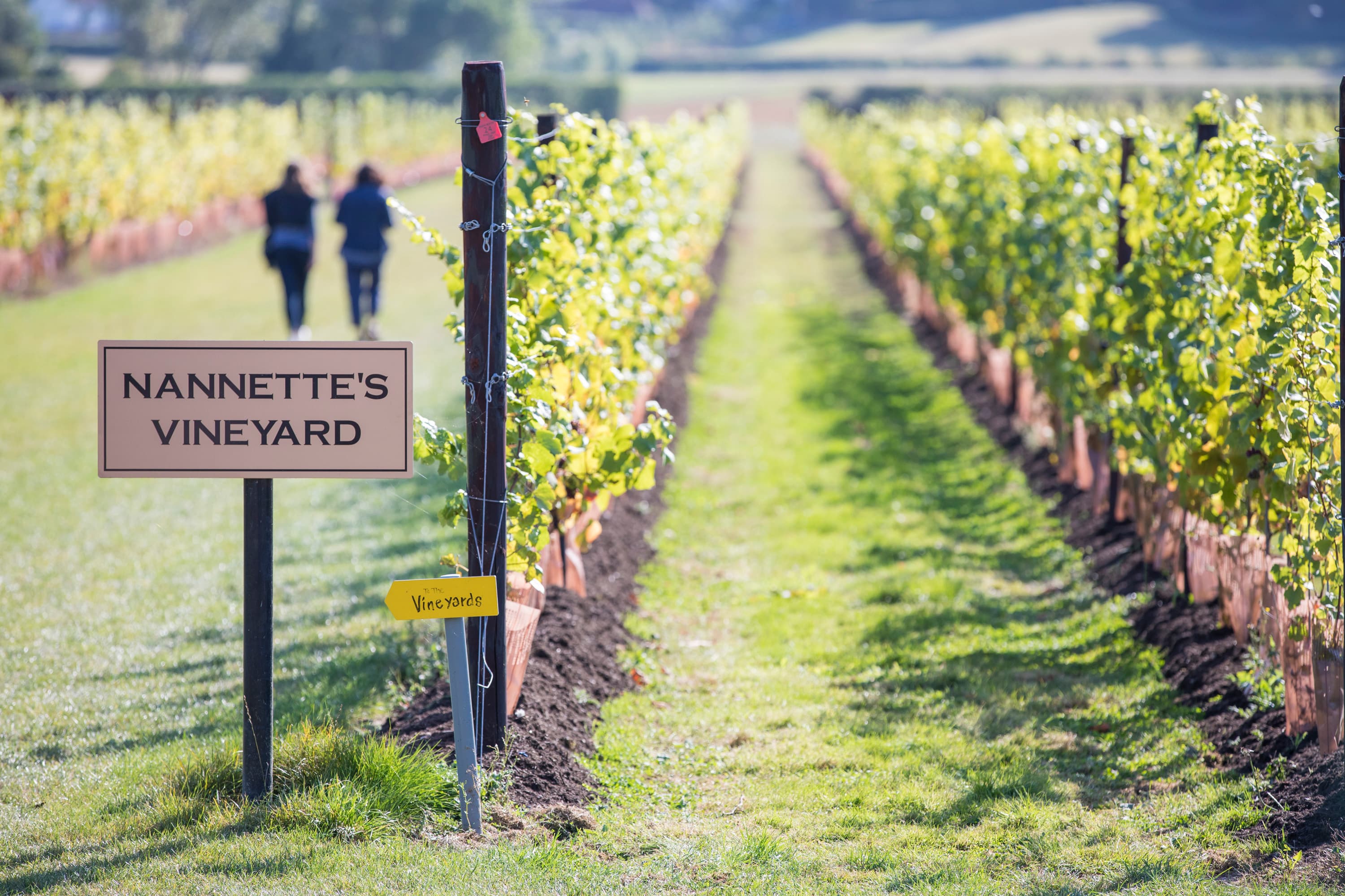 South East Open Studios