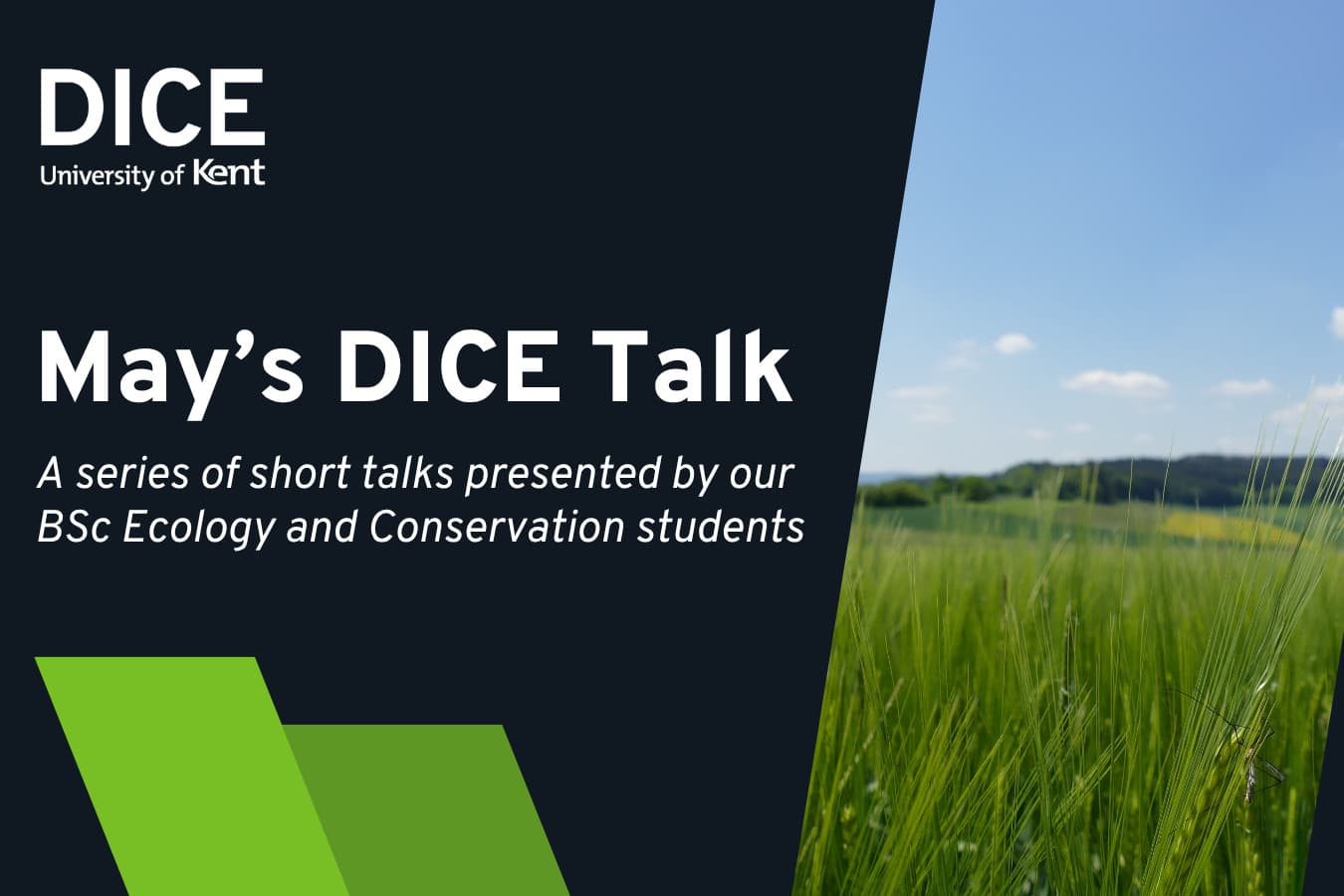 May DICE Talk | Short talks from our undergraduates