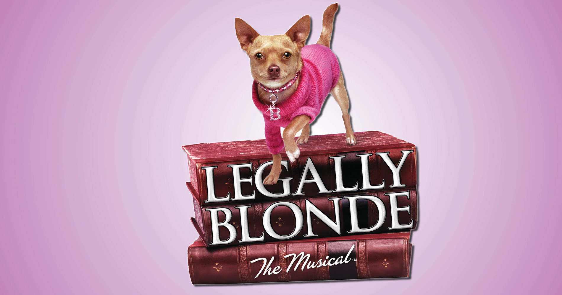 Legally Blonde The Musical