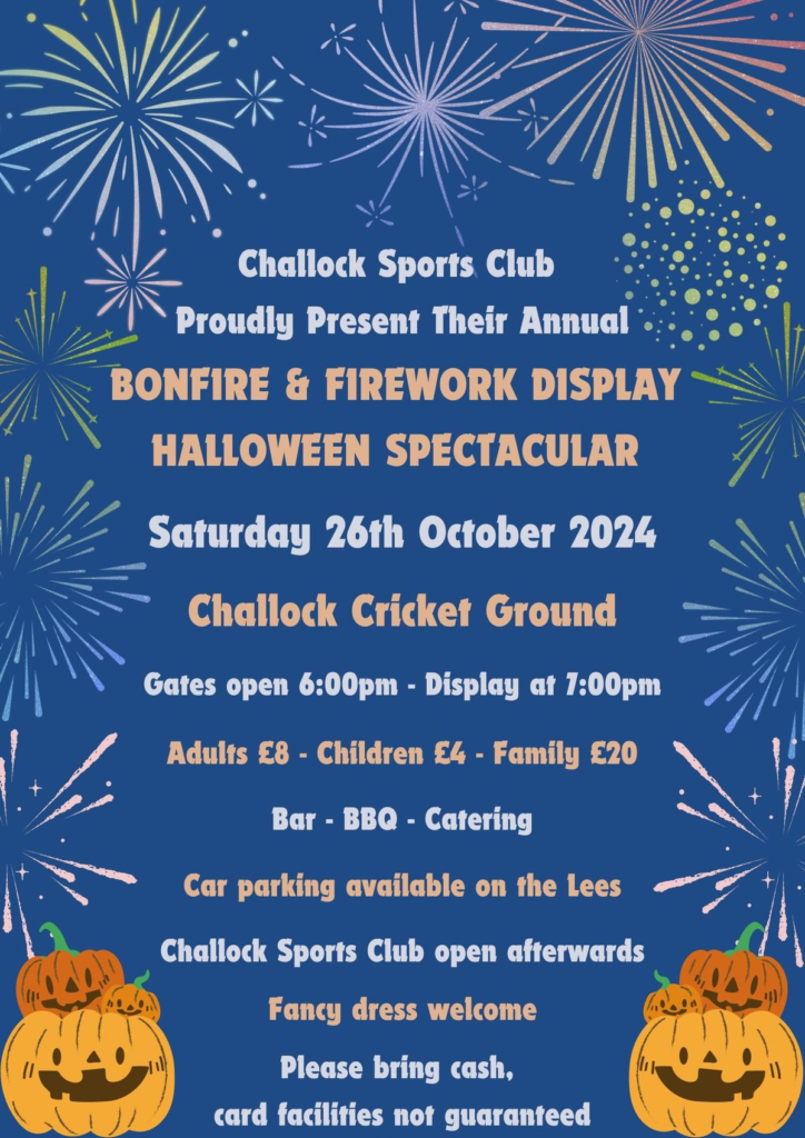 Bonfire & Firework Display Halloween Spectacular